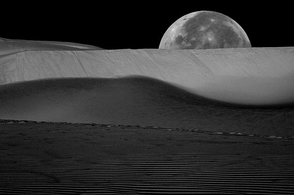CAT 4681 CD194 MOONRISE OVER THE DUNES