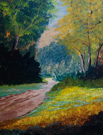 CAT 7981 CD288 PATH TO THE FOREST