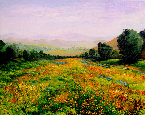 CAT 7991 CD288 POPPY FIELDS