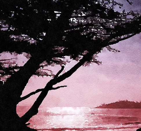 CAT 10676 CD352 SUNSET CARMEL COASTLINE