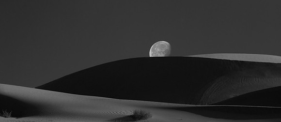 CAT 7557 CD269 MOON OVER THE DUNES
