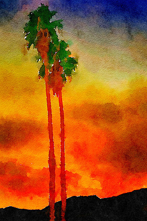 CAT 10551 CD352 PALM SPRINGS CALIFORNIA