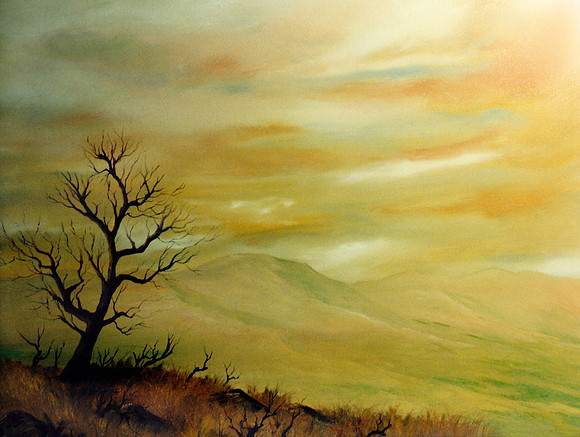 CAT 8009 CD289 LONE TREE