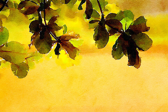 CAT 10553 CD352 HAWAIIAN LEAVES