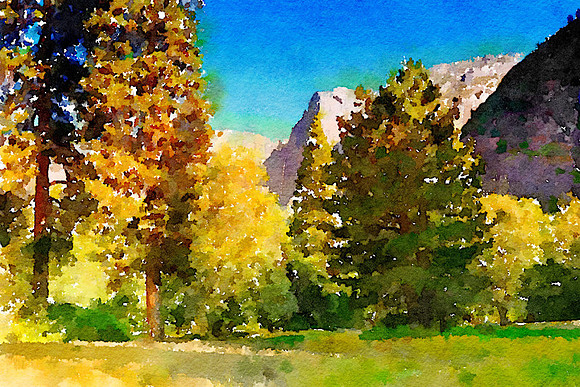 CAT 10555 CA352 YOSEMITE VALLEY