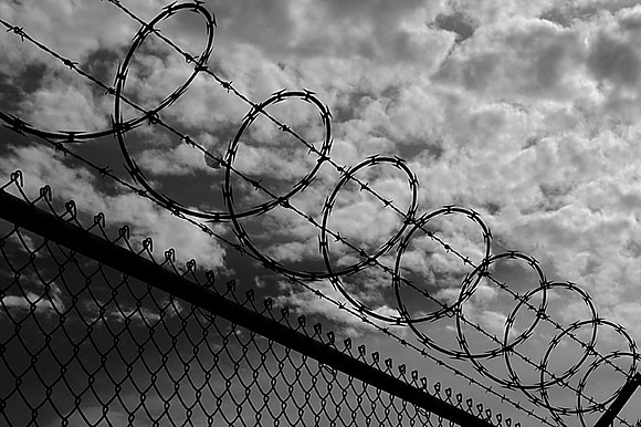 CAT 1632 D CD61  RAZOR WIRE JPEG270K