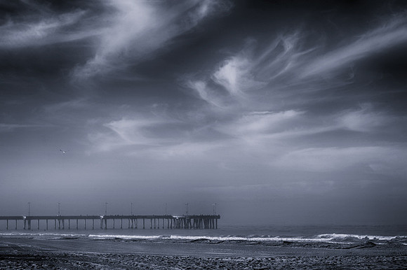 CAT 8773 CD311 VENICE BEACH PIER