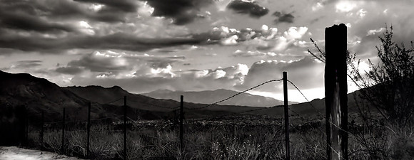 CAT 024 NEG 18 HIGHWAY 60 ORCHARD
