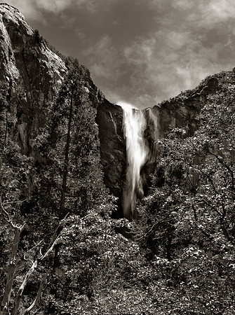 CAT 8887 CD320 BRIDALVEIL FALLS